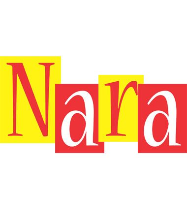 Nara errors logo