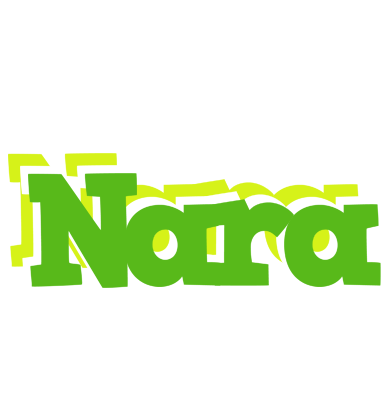 Nara picnic logo