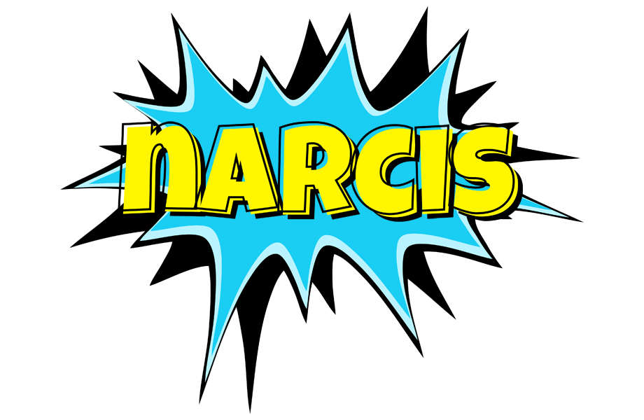 Narcis amazing logo