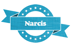 Narcis balance logo