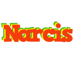 Narcis bbq logo