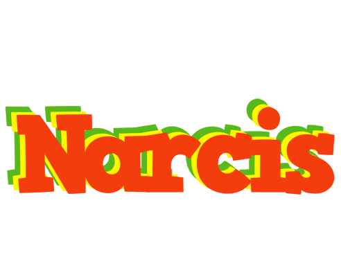 Narcis bbq logo
