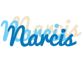 Narcis breeze logo