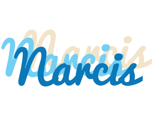 Narcis breeze logo