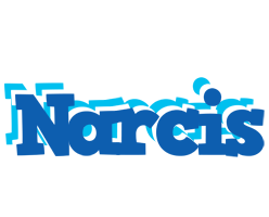 Narcis business logo