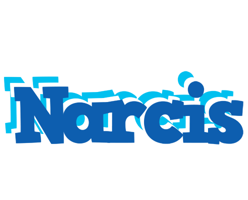 Narcis business logo