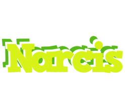 Narcis citrus logo