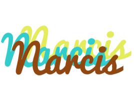 Narcis cupcake logo