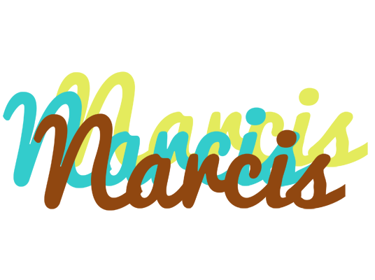 Narcis cupcake logo