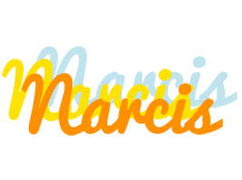 Narcis energy logo