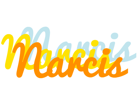 Narcis energy logo