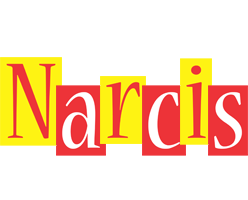 Narcis errors logo