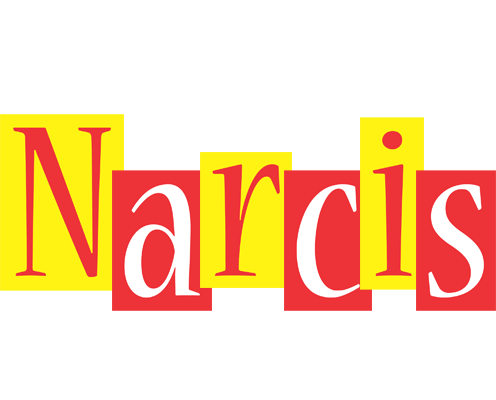 Narcis errors logo