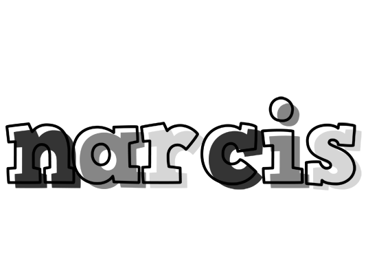 Narcis night logo