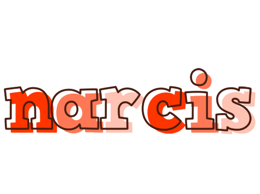 Narcis paint logo