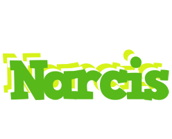 Narcis picnic logo