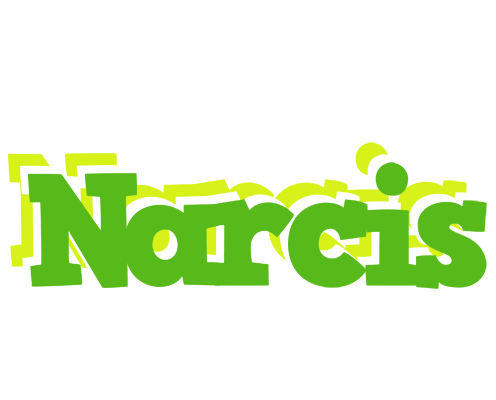 Narcis picnic logo