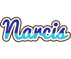 Narcis raining logo