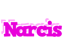Narcis rumba logo