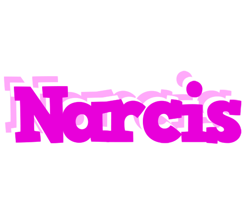 Narcis rumba logo
