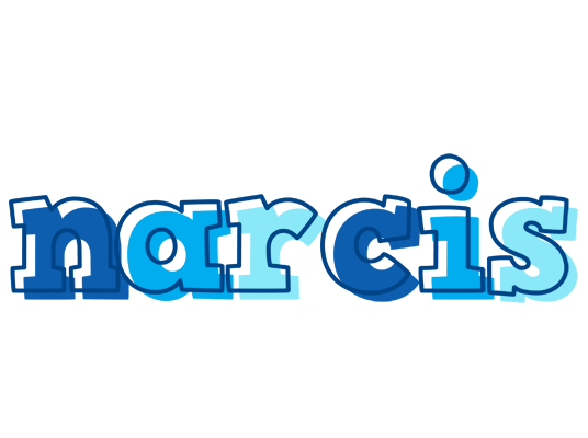 Narcis sailor logo