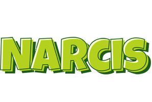 Narcis summer logo