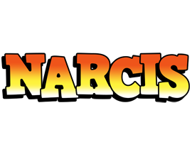 Narcis sunset logo