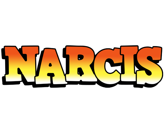 Narcis sunset logo