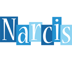 Narcis winter logo