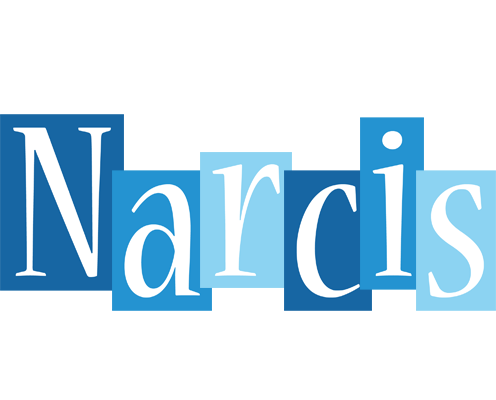 Narcis winter logo