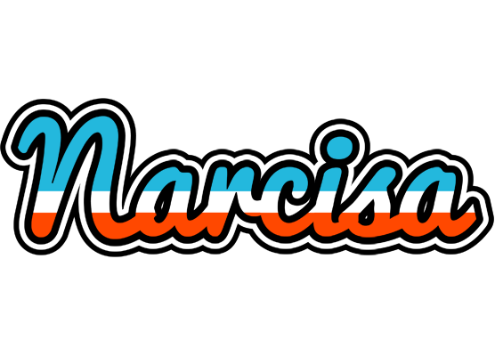Narcisa america logo