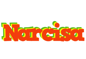 Narcisa bbq logo