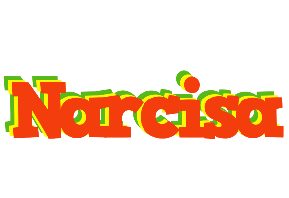 Narcisa bbq logo