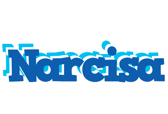 Narcisa business logo