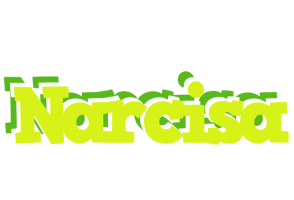 Narcisa citrus logo