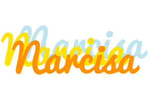 Narcisa energy logo