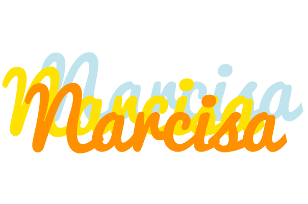 Narcisa energy logo