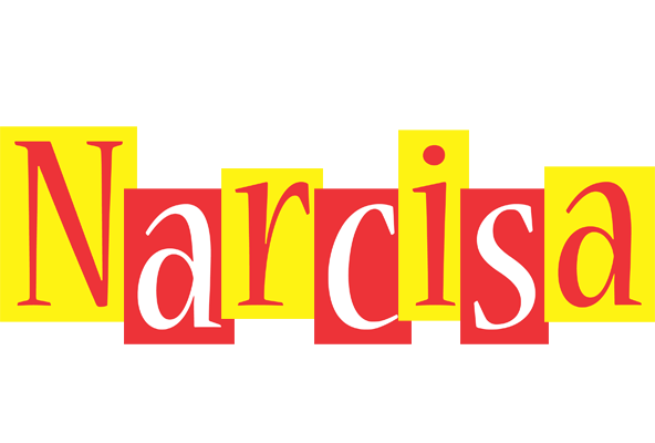Narcisa errors logo