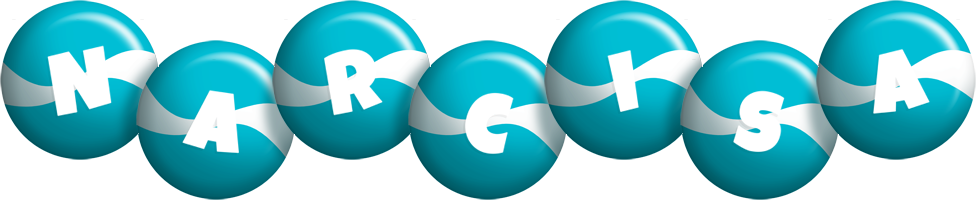 Narcisa messi logo