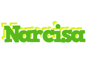 Narcisa picnic logo