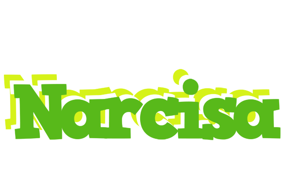 Narcisa picnic logo