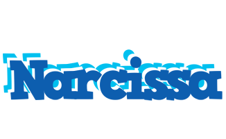 Narcissa business logo