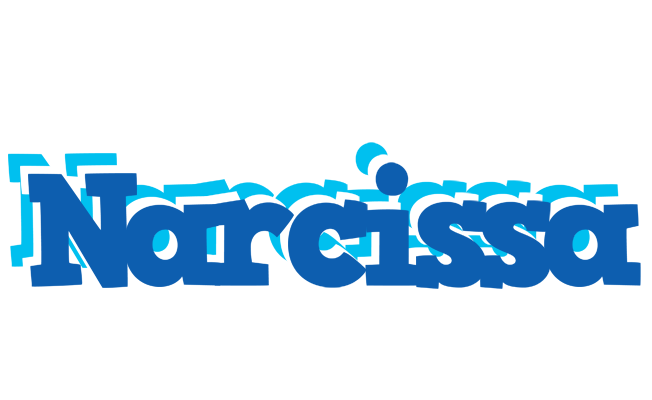 Narcissa business logo