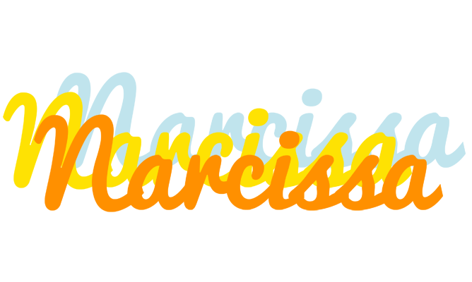 Narcissa energy logo