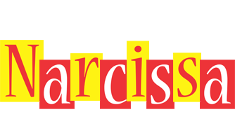 Narcissa errors logo