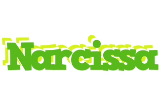 Narcissa picnic logo