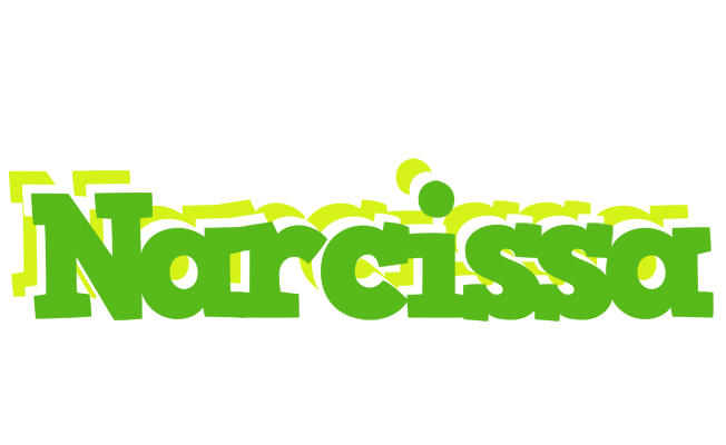 Narcissa picnic logo