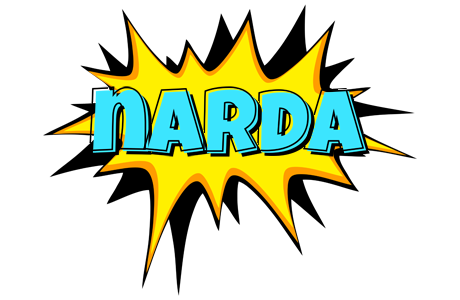 Narda indycar logo