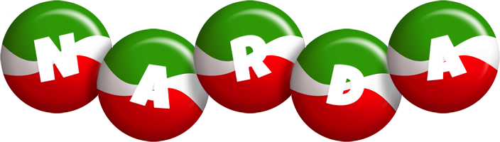 Narda italy logo