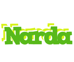 Narda picnic logo